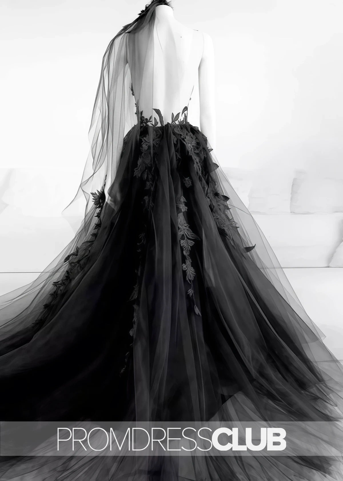 Megan |Long Black Wedding Dresses Near Me With Sexy Black Lace Appliques Sleeveless Tulle Backless Veil - Black - US0 - PromDressClub